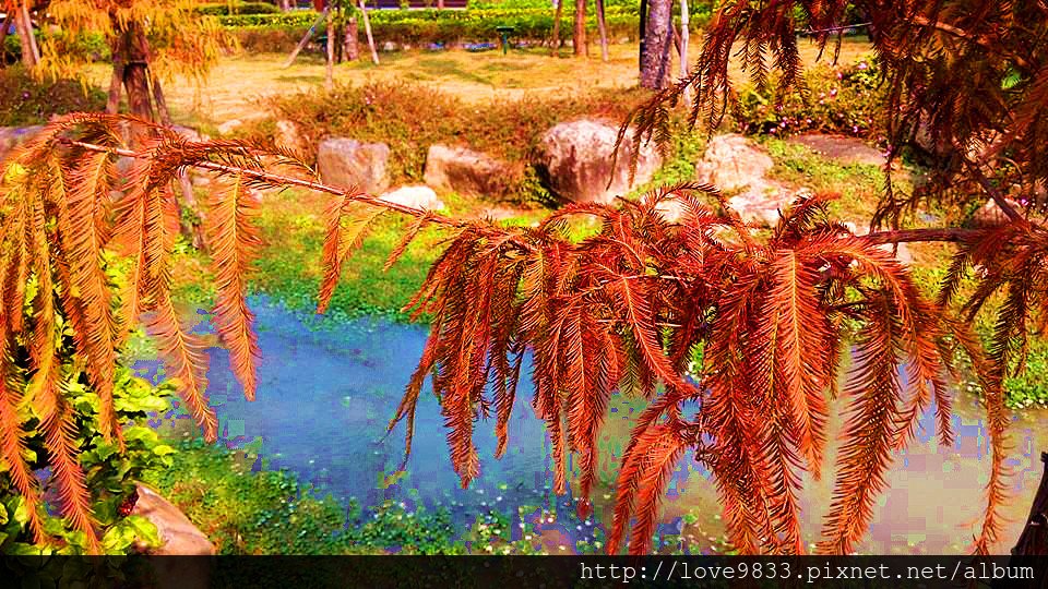 10405289_638052789638332_339425100768526002_n_副本