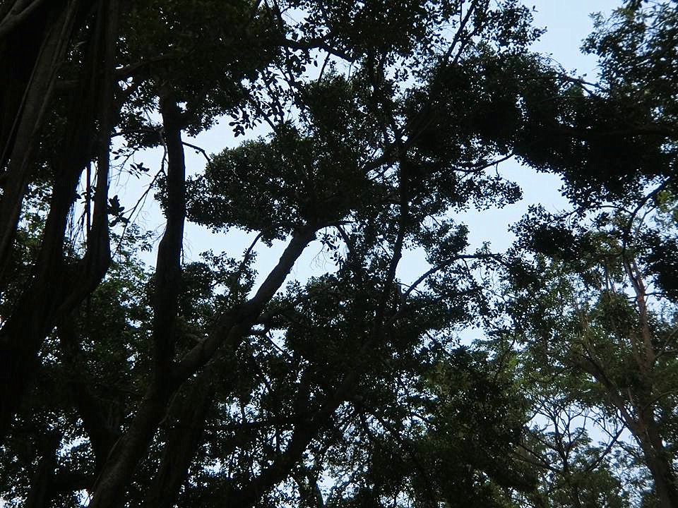 15095105_1030210810422526_8857337508763800263_n_副本