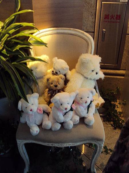 DSC01257.JPG