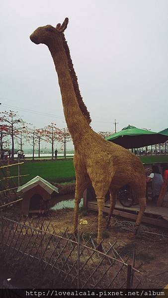 C360_2015-03-21-14-37-20-393.jpg