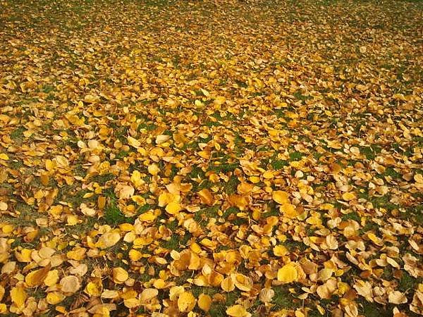 2013-10-24 13.29.09.jpg