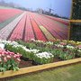 DSCN1070.JPG