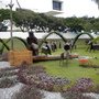 DSCN1062.JPG