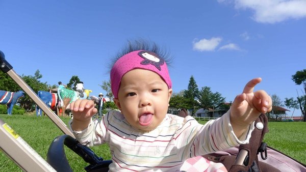 P1010031.jpg