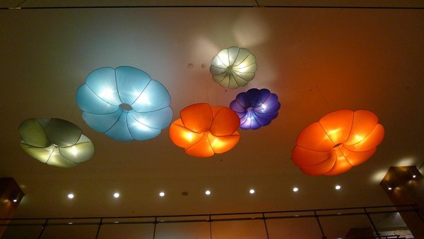 P1000921.jpg