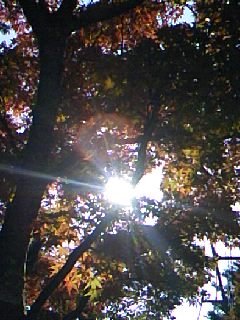 091109_0945~01.jpg