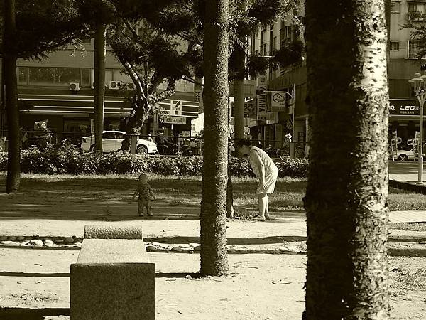 P1030830.JPG