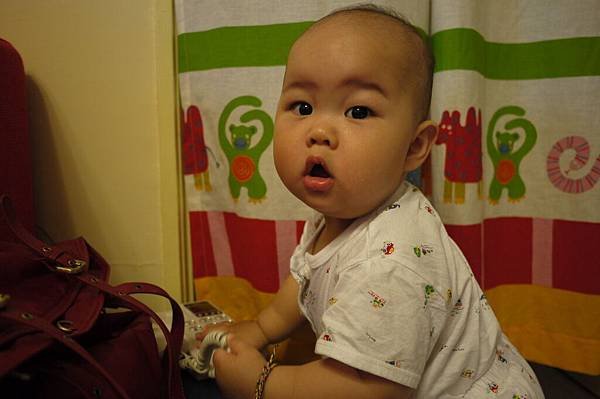 P1010045.JPG