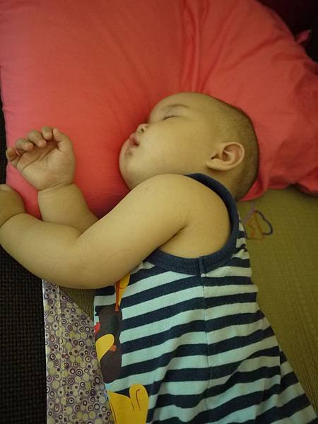 P1020109.JPG