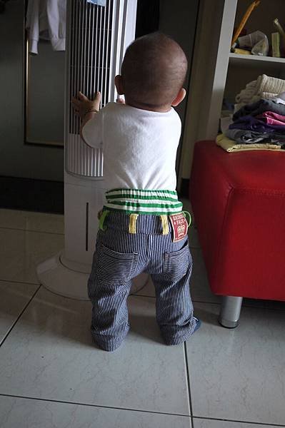P1010093.JPG