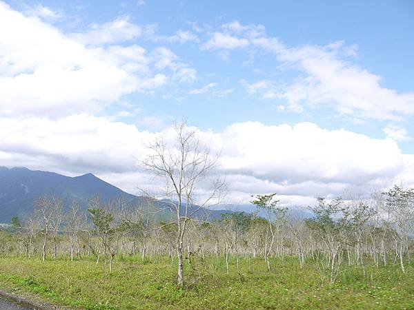 P1050569.JPG