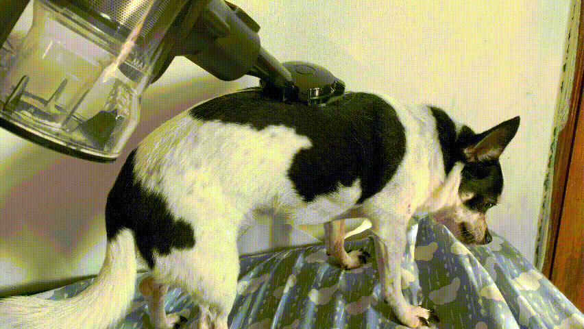3F2C4341-A18D-48BE-A903-4F25A8AB34D7.gif