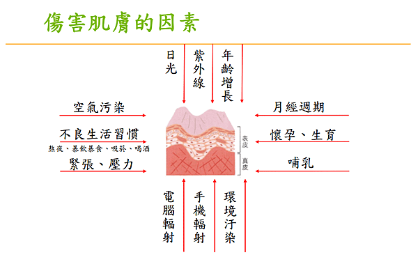 螢幕快照2016-06-13 下午9.22.28