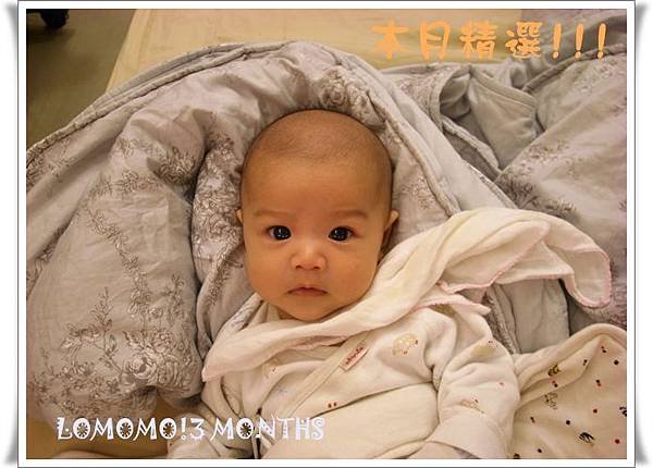 MOMO0302.JPG