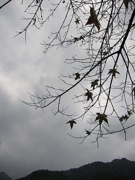IMG_1680.JPG