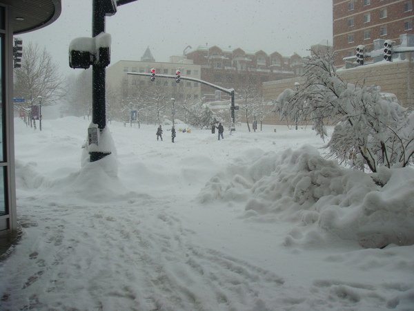 snow2010