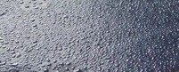 1320932588-1291367872