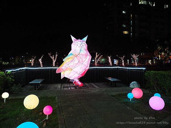 P1060771.jpg