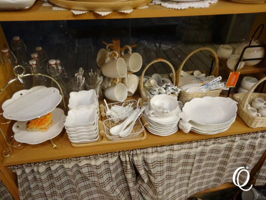DSC02494.JPG