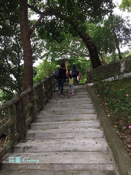 新北特色公園【中山公園】挑戰療癒森林裡的彩色水管滑梯+跑酷棧