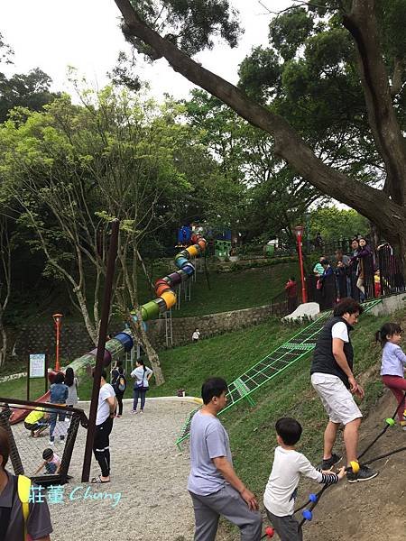 新北特色公園【中山公園】挑戰療癒森林裡的彩色水管滑梯+跑酷棧