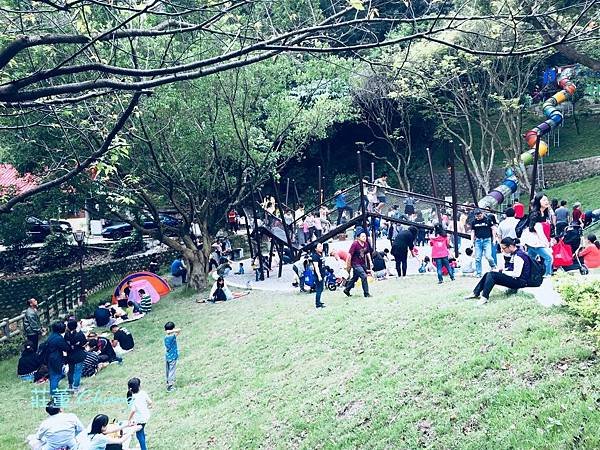 新北特色公園【中山公園】挑戰療癒森林裡的彩色水管滑梯+跑酷棧