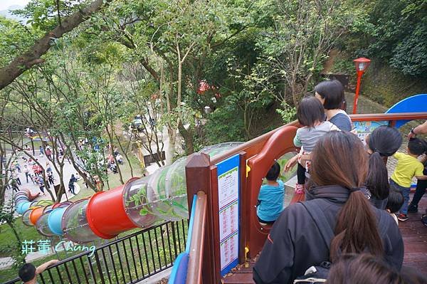 新北特色公園【中山公園】挑戰療癒森林裡的彩色水管滑梯+跑酷棧