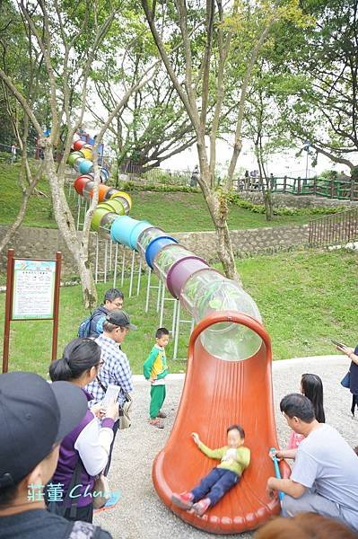 新北特色公園【中山公園】挑戰療癒森林裡的彩色水管滑梯+跑酷棧