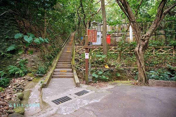 新莊在地的秘密小森林【新莊青年公園】新莊踏青景點