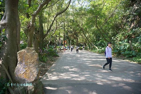 新莊在地的秘密小森林【新莊青年公園】新莊踏青景點