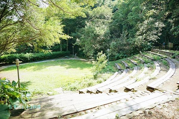 新莊在地的秘密小森林【新莊青年公園】新莊踏青景點