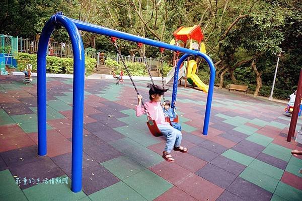 新莊在地的秘密小森林【新莊青年公園】新莊踏青景點