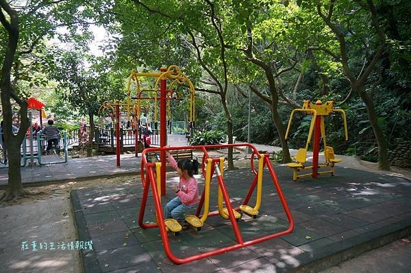 新莊在地的秘密小森林【新莊青年公園】新莊踏青景點