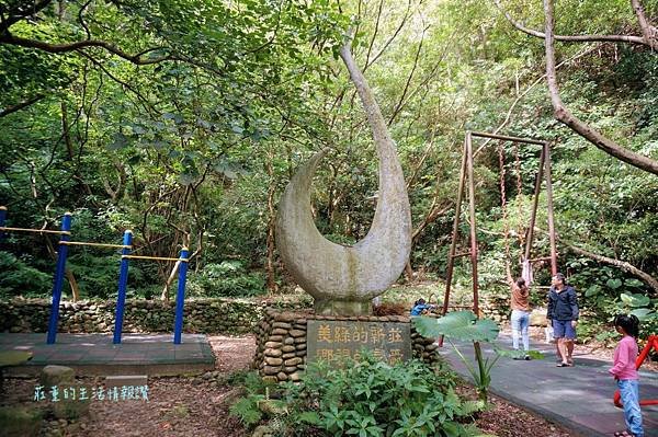 新莊在地的秘密小森林【新莊青年公園】新莊踏青景點