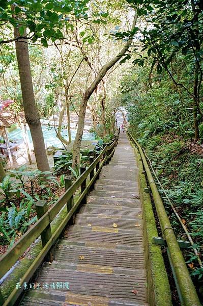 新莊在地的秘密小森林【新莊青年公園】新莊踏青景點