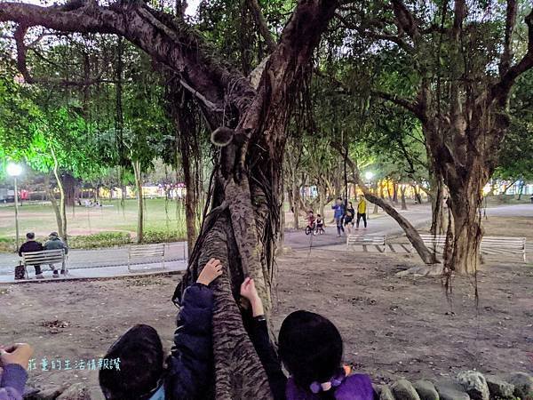 【中和八二三紀念公園】如何餵小松鼠？親子遊4號公園 (新北中