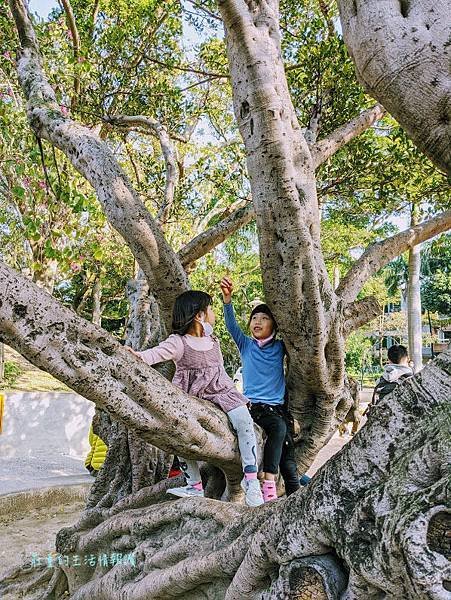 新竹市特色公園「新竹中央公園」停車方便,新竹巨城旁好玩的親子