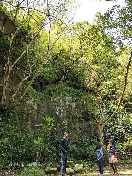 新莊在地的秘密小森林【新莊青年公園】新莊踏青景點