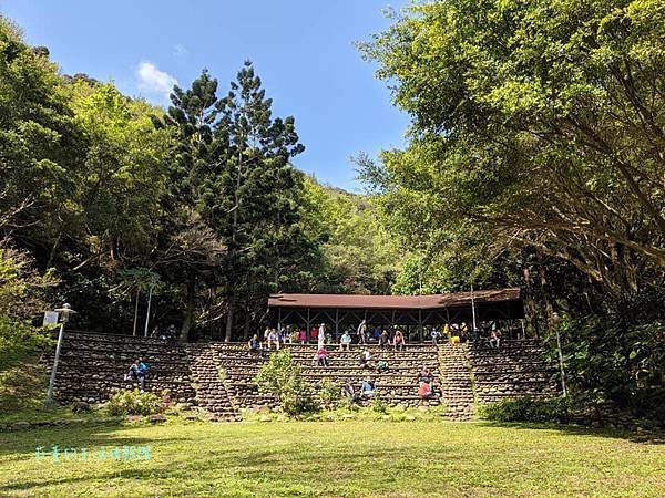 新莊在地的秘密小森林【新莊青年公園】新莊踏青景點