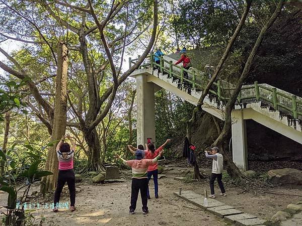 新莊在地的秘密小森林【新莊青年公園】新莊踏青景點