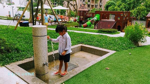 桃園特色公園「大有梯田生態公園」森林挑戰區超好玩!可戲水! 