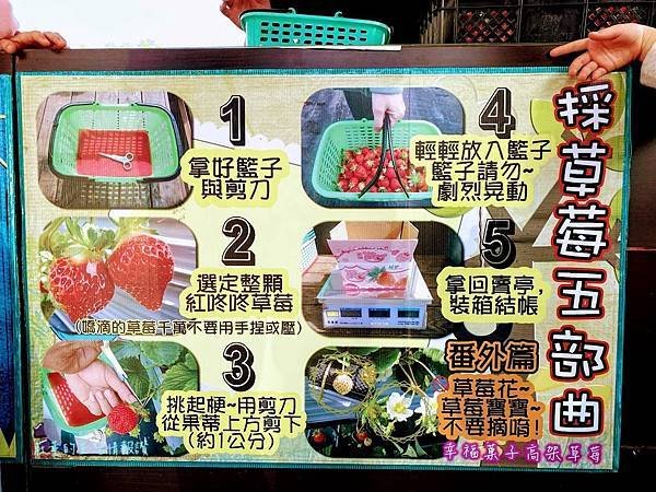 幸福菓子草莓園 (4).jpg