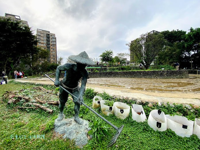 古亭河濱公園花海 (12).jpg