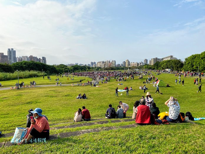 古亭河濱公園花海 (15).jpg