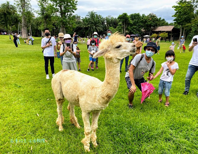 新竹北埔綠世界生態農場一日遊親子必玩 (68).jpg