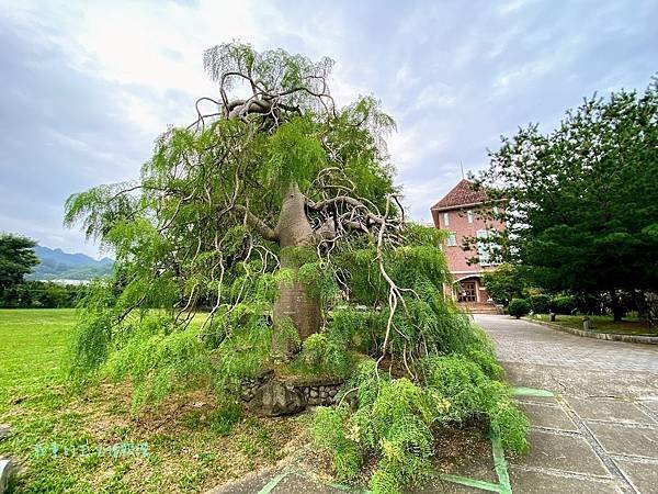 苗栗巧克力雲莊住宿樓中樓家庭房 (16).jpg