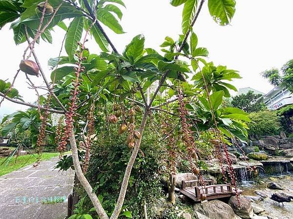 苗栗巧克力雲莊住宿樓中樓家庭房 (18).jpg