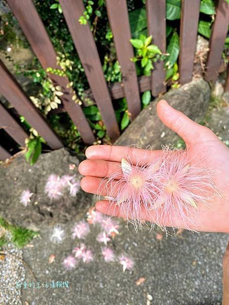 苗栗巧克力雲莊住宿樓中樓家庭房 (38).jpg