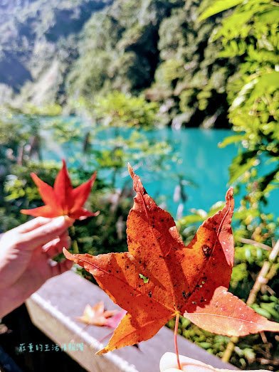 文青風超大湯池！烏來旅晨溫泉民宿湯屋下午茶｜新北烏來泡湯趣