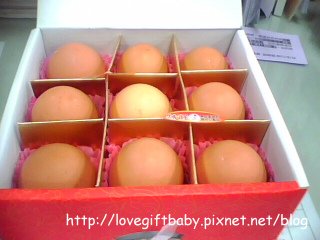 IMG0458A.BMP